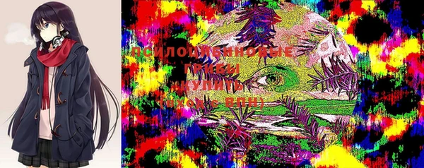 гашик Армянск