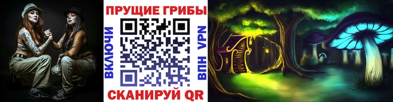 МЕГА ONION  Ишимбай  Псилоцибиновые грибы мухоморы  что такое  